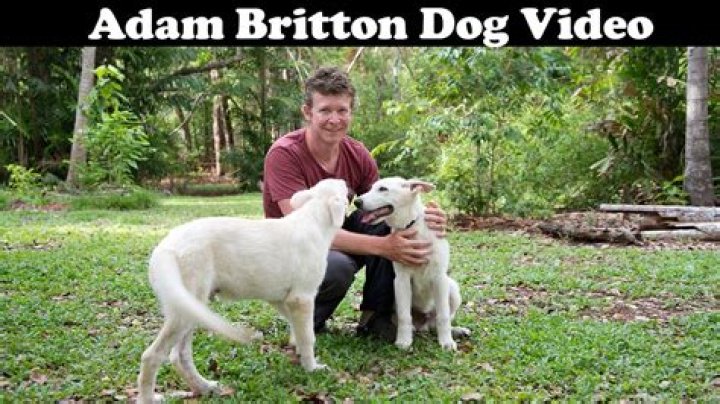 Adam Britton Dog Video Leak on Twitter and Reddit Goes Viral: Watch the Full Controversial Footage