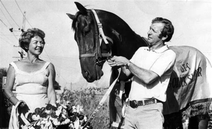 Alan Gollogly Obituary: the jockey industry is in sadness following the passing of legendary australian jockey alan gollogly