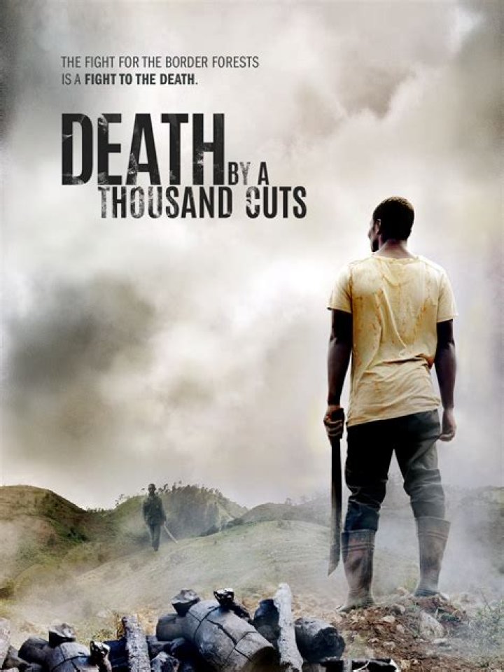 Taylor Swift - Death By A Thousand Cuts Lyrics Meaning