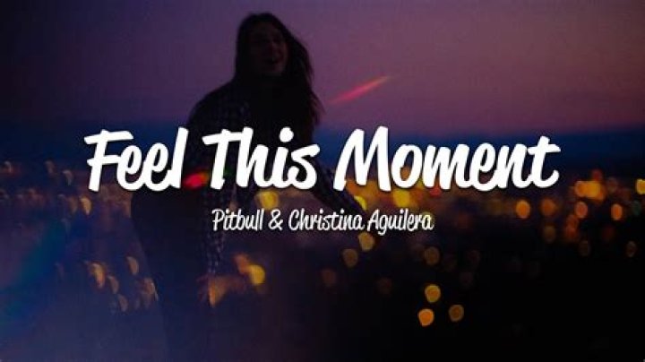 Feel This Moment Lyrics Meaning