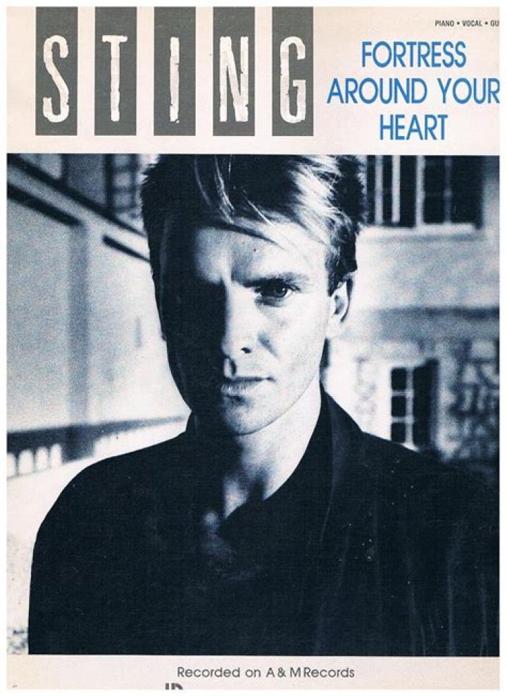 Fortress Around Your Heart Lyrics Meaning