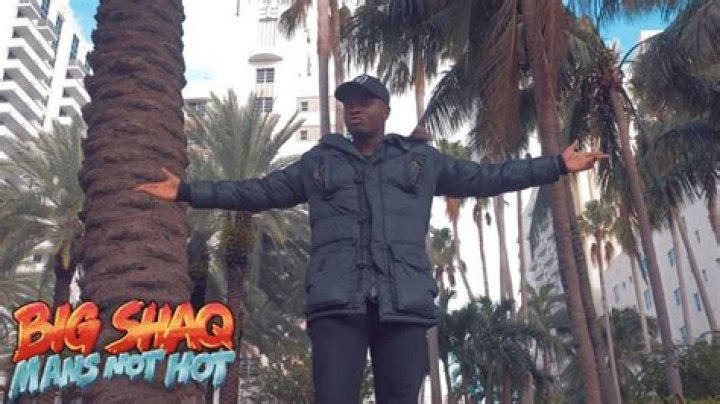 Big Shaq - Man's Not Hot Lyrics Meaning