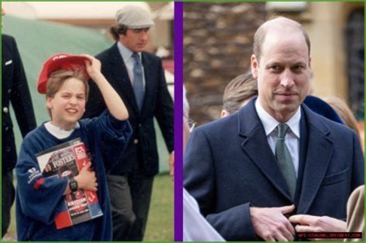 Stephanie Bel Obituary And Death News, Owner and Operator of Stephanie’s Sweets Passes Away – In Loving Memory of Stephanie Bel