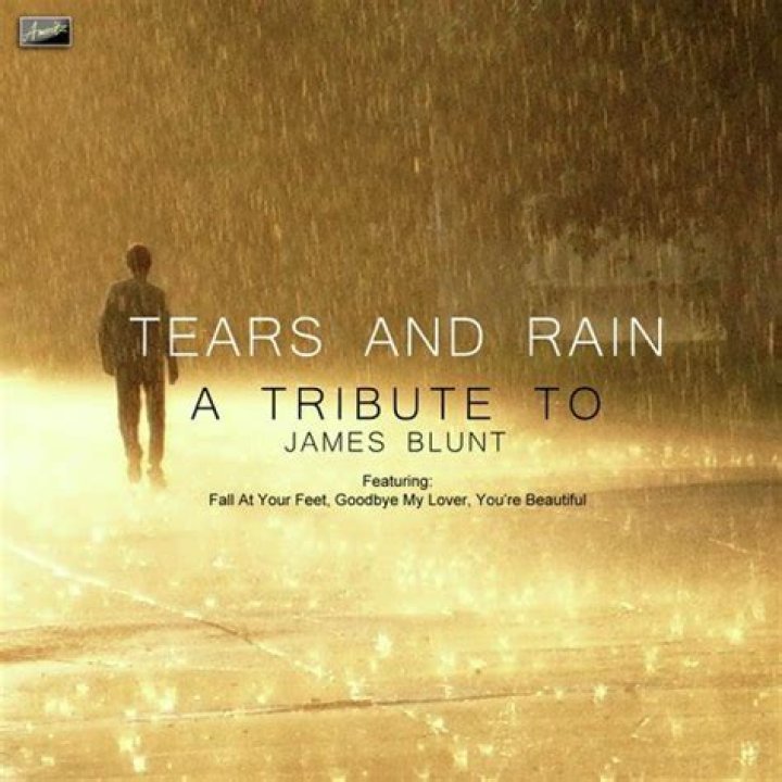 James Blunt - Tears and Rain Lyrics Meaning